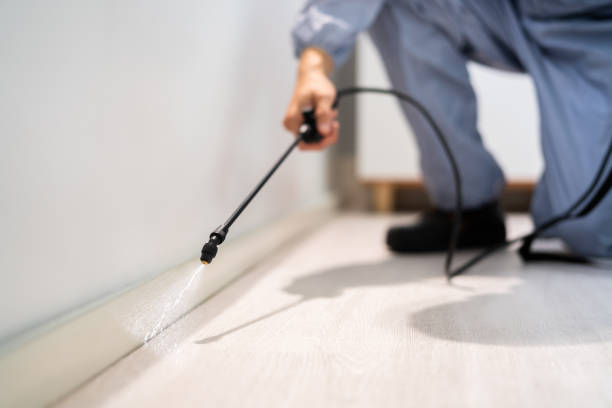 Licensed Pest Control service in Springdale, NC - Show Me Pest Control