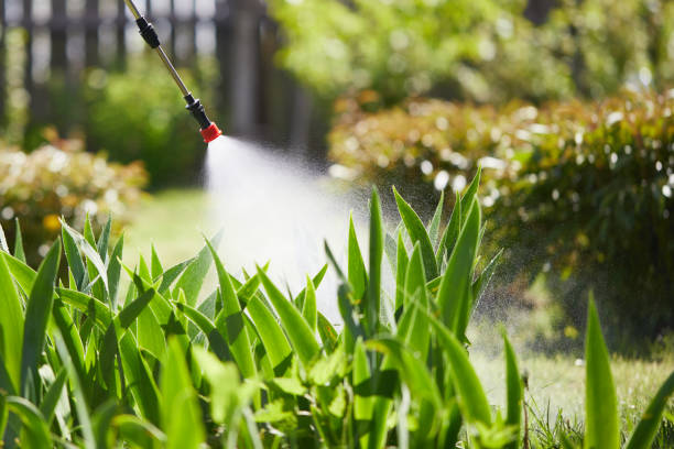 Tamper-Resistant Bait Stations for Rodents in Springdale