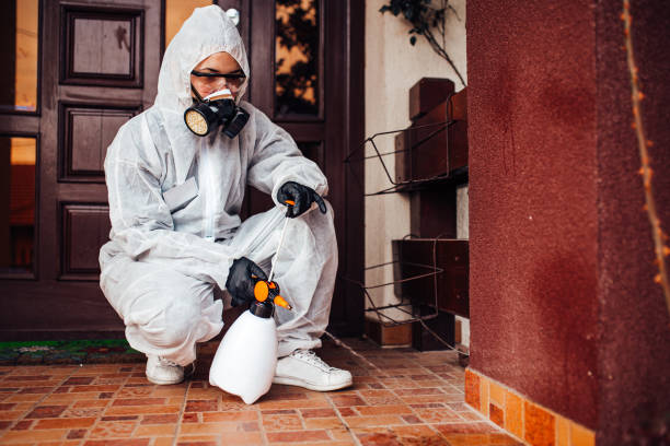 Attic and Crawl Space Rodent Treatment in Springdale